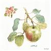 International Graphics - Immagine finita - Lisa, Audit - ''Orchard Bloom I''- 30 x 30 cm - Stampa diretta su acrilico