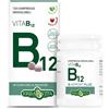 Erba Vita B-Apport Plus Integratore Vitamina B12 24 g