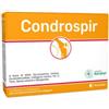 ANVEST HEALTH SPA SOC. BENEFIT Condrospir 14 Bustine