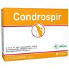 ANVEST HEALTH Srl CONDROSPIR 14 BUSTINE
