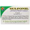 Sulfonil 60 Capsule 42 g