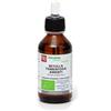 Fitomedical BETULLA PUBESCENS AMENTI MACERATO GLICERICO 100 ML BIO