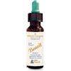 ALCHIMIA BENOIT Srl FIORI DI BACH BENOIT SWEET CHESTNUT 10 ML
