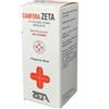Zeta Farmaceutici Canfora , 10% soluzione cutanea 1 flacone 100ml di soluzione idroalcolica