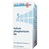 Schwabe Pharma Italia Kalium phosporicum 6dh 50g