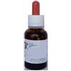 Glisy Italia Di Bronco Mario ELI KID ZINCO 50 G