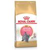 Royal Canin Cibo Secco per Gatti Adulti British Kitten - 10kg