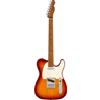 Fender Player Telecaster Sienna Sunburst Limited Edition