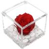 Premium-rose.com OneFlower by PREMIUM ROSE - Cubo Rosa Stabilizzata Rossa 5 cm con Marmo di Carrara - Rosa Eterna Stabilizzata Idea per San Valentino e Festa Della Mamma Made in Italy - Rosso A 1050
