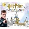 Nord-Sud Harry potter. Colora con l'acqua. Con pennarello