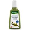 RAUSCH SHAMPOO ANTISEBO ALLA QUERCIA MARINA 200 ML