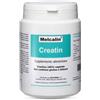 BIOTEKNA Melcalin Creatin 190 G - integratore di creatina