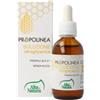 ALTA NATURA-INALME Srl Propolinea Soluzione Idroglicerica Alta Natura 50ml