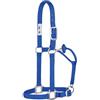 Weaver Equine Weaver Leather Cavezza per cavallo in nylon non regolabile, grande, blu
