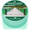 Country Candle Citrus & Seagrass 42 g
