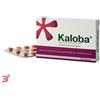 DR.WILLMAR SCHWABE GmbH&CO.KG KALOBA*21CPR RIV