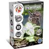 Science4you Kit Dinosauri Triceratops +6 Anni - Gioco di Dinosauro con Fossili da Scavare che si Illumina al Buio, Dinosauro Giocattolo da Construire, Giochi, Regalo per Bambino e Bambina 6+ Anni