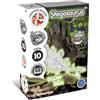 Science4you Kit Dinosauri Stegosauro - Gioco di Dinosauri per Bambini, Dinosauro Giocattolo + Fossili da Scavare Che Si Illumina al Buio, Dinosauro Giocattoli, Regalo per Bambino e Bambina +6 Anni
