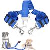 SlowTon Cintura di Sicurezza per Cani DoubleTon, Cintura di Sicurezza per Auto per Cani da Compagnia Doppia Regolabile Cavo accoppiatore per Cani Regolabile con Elastico e Striscia Riflettente