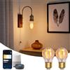 Aigostar Lampadine Alexa, Lampadine Led E27 Vintage, G45 Ambra Lampadine Filamento a Globo, 4.5W, 470LM, Bianco Caldo Dimmerabile 2700K - 6500K, Compatibile con Alexa e Google Home, 2 Unità