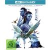 Disney Avatar: Aufbruch nach Pandora UHD Blu-ray: 4K Ultra HD Blu-ray + Blu-ray