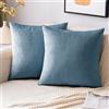 EMEMA Federe in velluto Copricuscini Decorativi Fodere Quadrate per Cuscino per Divano Camera da Letto Casa 40x40 cm Confezione da 2 Azzurro