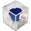 Premium-rose.com OneFlower by PREMIUM ROSE - Cubo Rosa Stabilizzata Blu 6 cm con Marmo di Carrara - Rosa Eterna Stabilizzata Made in Italy - Idea per Bomboniere, Lauree e Battesimi - Blu 1061