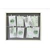 accent by nielsen Collage con clip, 8 foto ciascuno 10x15 cm, bianco/grigio