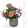 Relaxdays Set da 4 Sfere di Irrigazione a Goccia, Irrigatori a Forma di Volatile, 200 ml per Dispenser, Trasparente