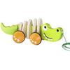 HAPE INTERNATIONAL MILANO Srl COCCODRILLO DA TIRARE 12 MESI E OLTRE