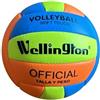Dimasa Pallone Mini Volleyball ufficiale, colore (multicolore), unico (DIMMV001)
