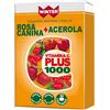 WINTER VITAMINA C PLUS 1000 ROSA CANINA + ACEROLA 32 COMPRESSE