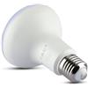 V-TAC PRO VT-263 Lampadina led SMD 8.5W E27 R63 chip samsung bianco naturale 4000K - SKU 21142