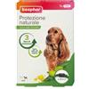 Amicafarmacia Beaphar Protezione Naturale Collare Antiparassitario Cane Piccolo/Medio 65cm Di Lunghezza