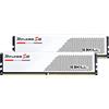 G.Skill Ripjaws S5 / F5-5600J3036D32GX2-RS5W memoria 64 GB 2 x 32 DDR5 [F5-5600J3036D32GX2-RS5W]