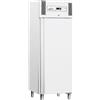 FORCAR Armadio congelatore - Capacità lt 507 - cm 68 x 80 x 201 h