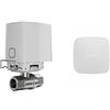 Ajax Valvola dell'acqua intelligente wireless WaterStop (1" valve) + AJAX LeaksProtect - 52267