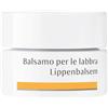 DR.HAUSCHKA Balsamo Labbra rigenerante e protettivo 4,5 ml