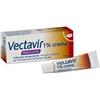 PERRIGO ITALIA Srl Vectavir crema 1% 2g