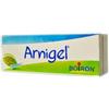BOIRON Srl Boiron Arnigel Tubo Gel 120g