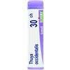 BOIRON Srl Thuya Occident 30ch Gl
