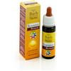 GUNA SpA Resource Remedy Spray 10ml