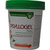 GIULIANI SpA Psyllogel Fibra arance rosse 170g