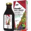 SALUS HAUS Gmbh & Co KG Floradix Ferro 500ml