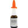 GUNA SpA Heel Euphorbium Compositum Spray Nasale S 20ml