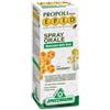 SPECCHIASOL Srl Epid Spray Orale Erisimo 15ml