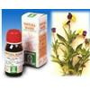 SPECCHIASOL Srl VIOLA DEL PENSIERO 32 50ML TM