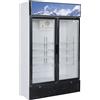 FORCAR Armadio frigorifero - Capacità lt 620 - cm 119.8 x 53 x 188 h