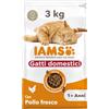 IAMS Gatti domestici Cibo secco con pollo fresco per gatti da 1+ , 3 kg