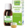 BOIRON Ampelopsis Wei Boi Mg 60 ml Int